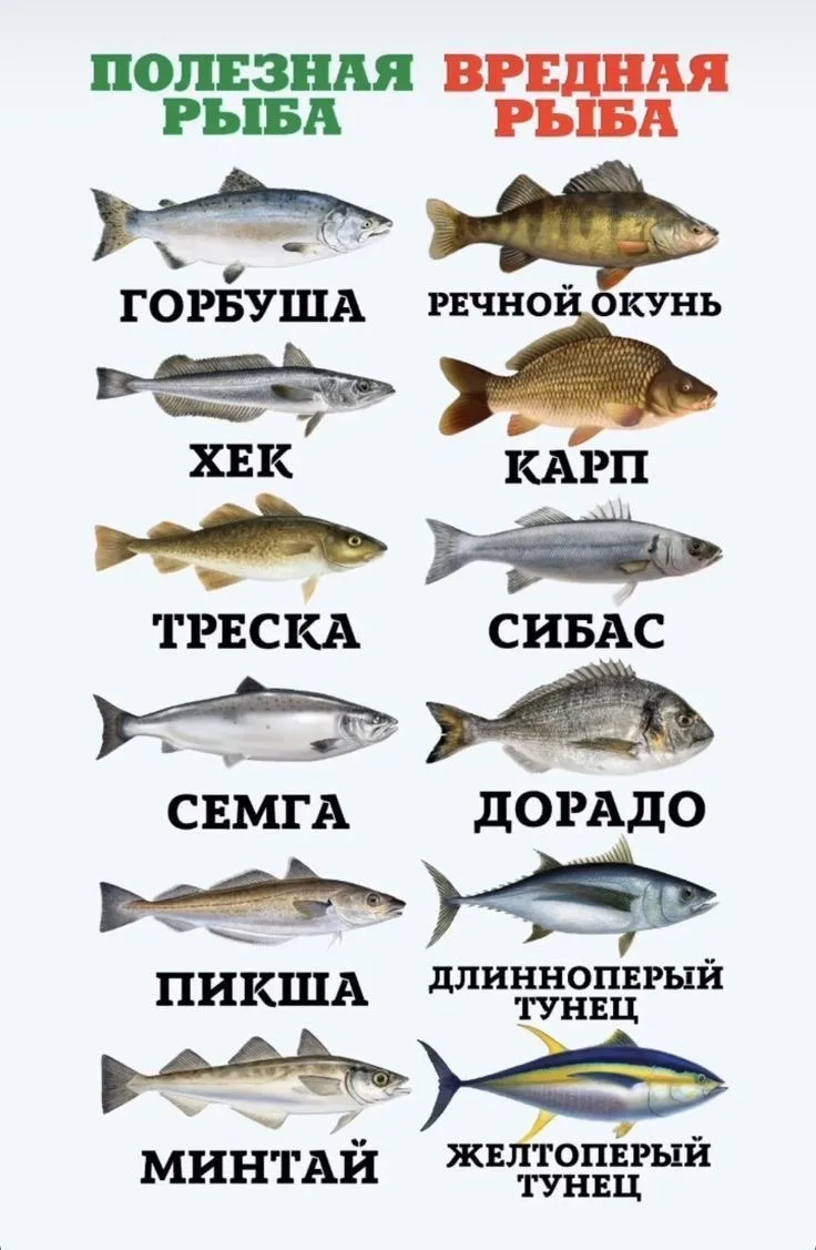 Дача | Подпишись 👇🏻