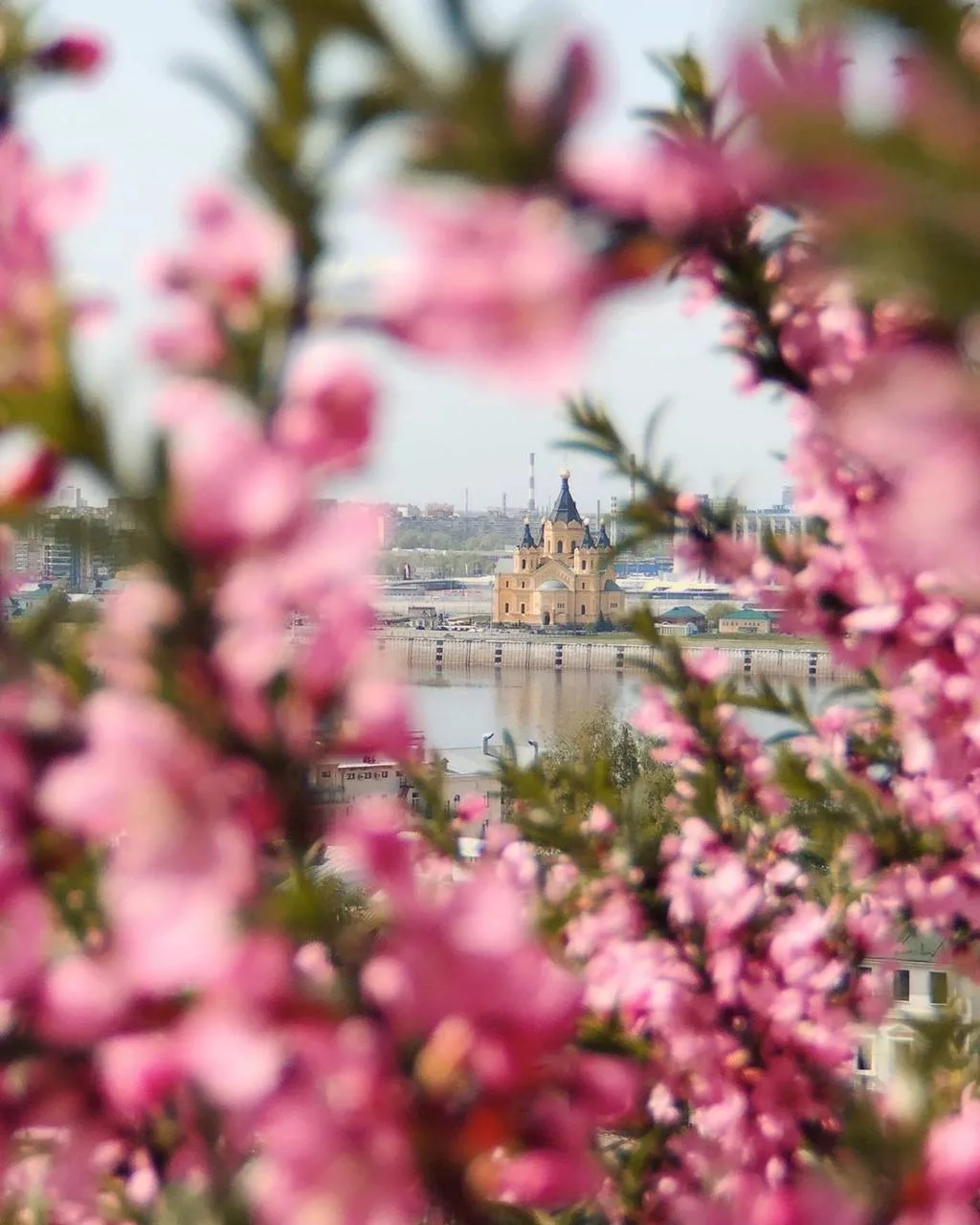 😍 Город сейчас особенно красивый — уже зацвели деревья, и если хочется устроить себе прогулку с весе