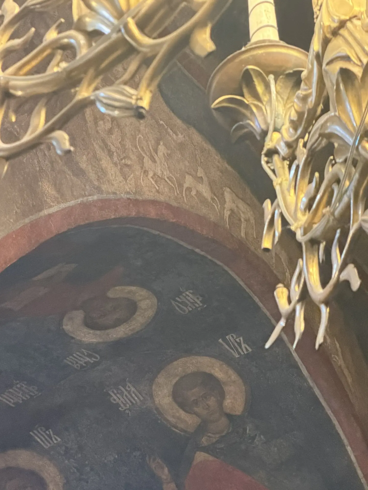 🪽Не знаю, наверное это самое яркое впечатление от слона за всю мою жизнь.