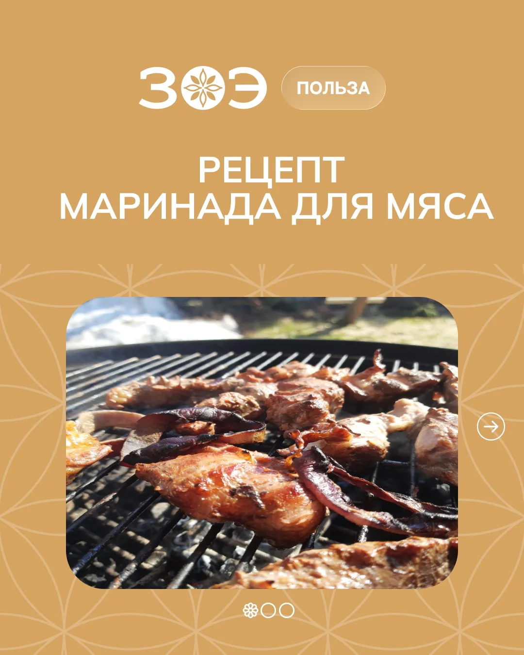 Рецепт маринада с ЗОЭ