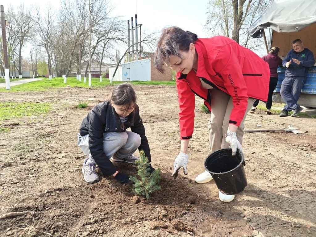 🌿 В СТАНИЦЕ КРИВЯНСКАЯ ВЫСАДИЛИ МОЖЖЕВЕЛЬНИКИ И ДРУГИЕ КУСТАРНИКИ В ДЕНЬ ДРЕВОНАСАЖДЕНИЯ  Сегодня, 1