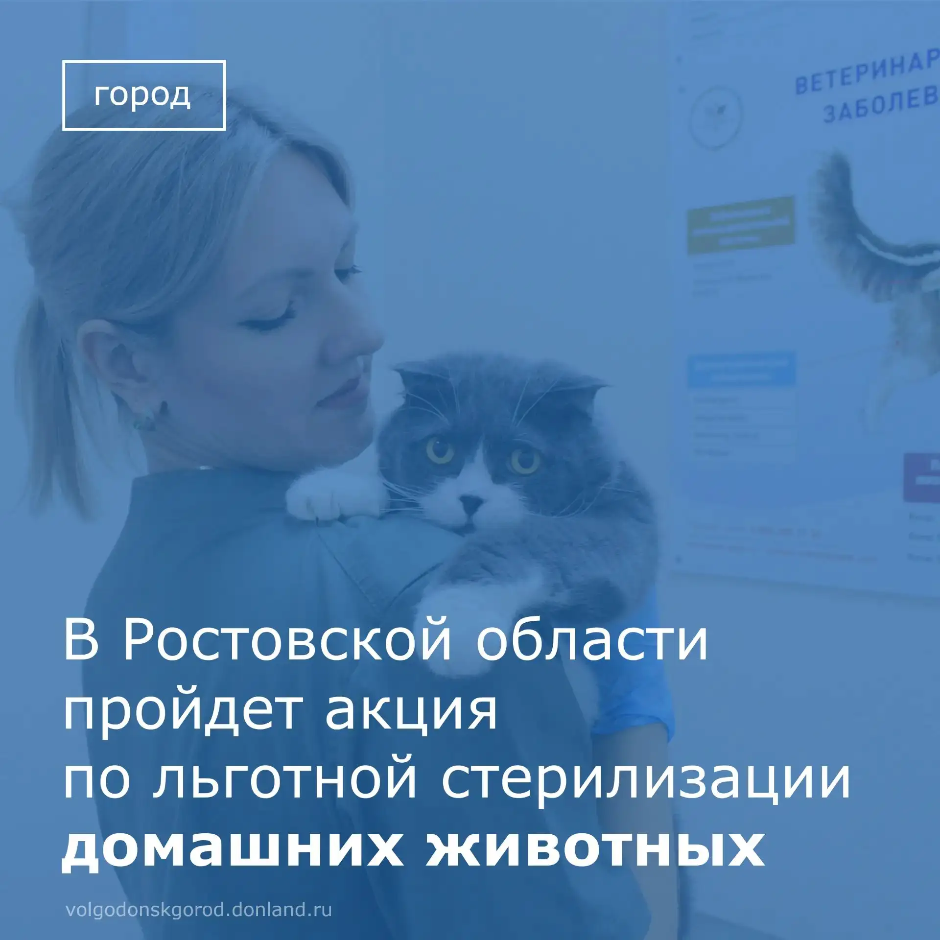 30 июля в Ростовской области пройдет день льготной стерилизации животных.

Акция проходит в последни