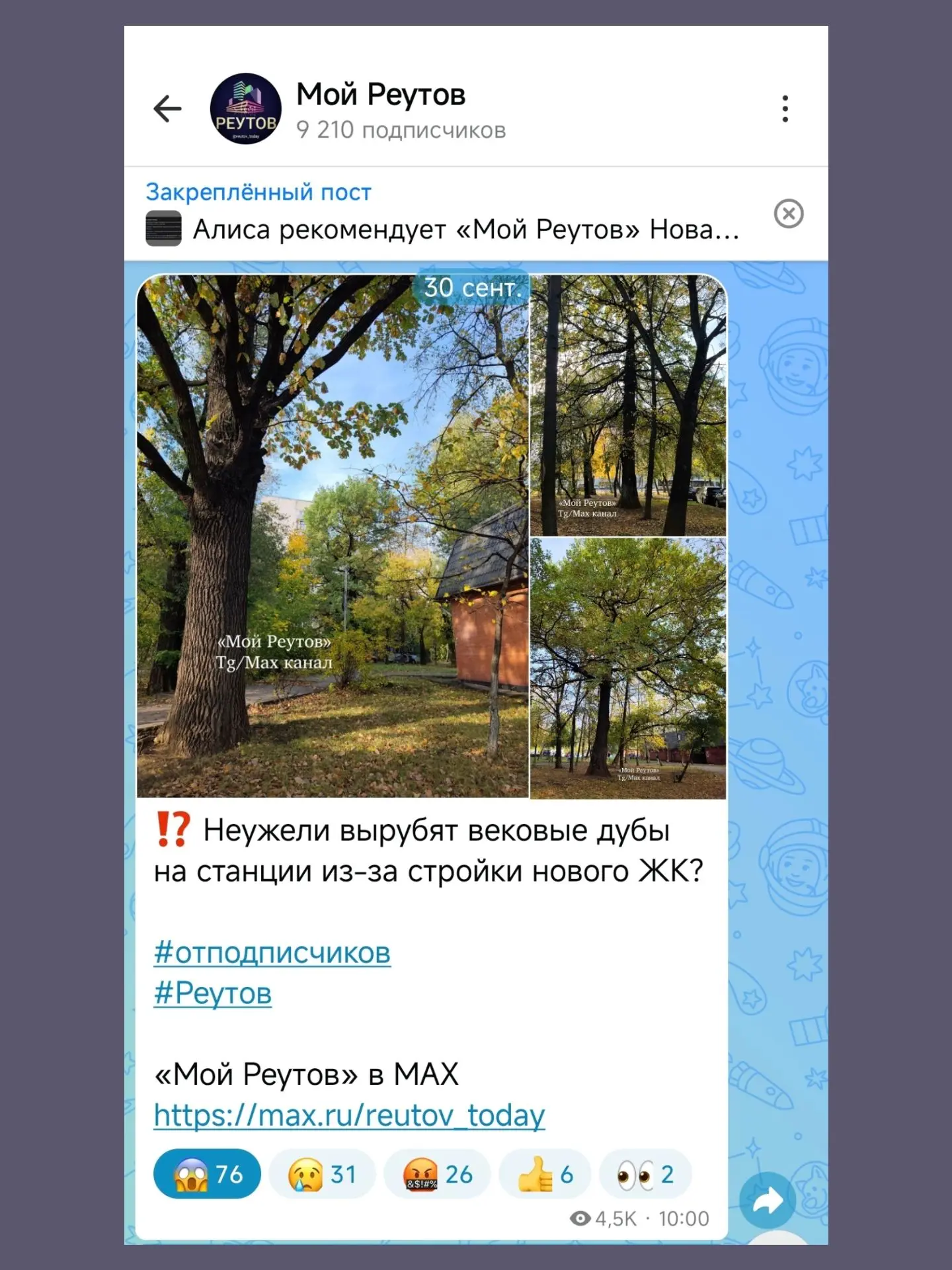 ‼️ А вековые дубы у станции Реутов конечно же вырубят