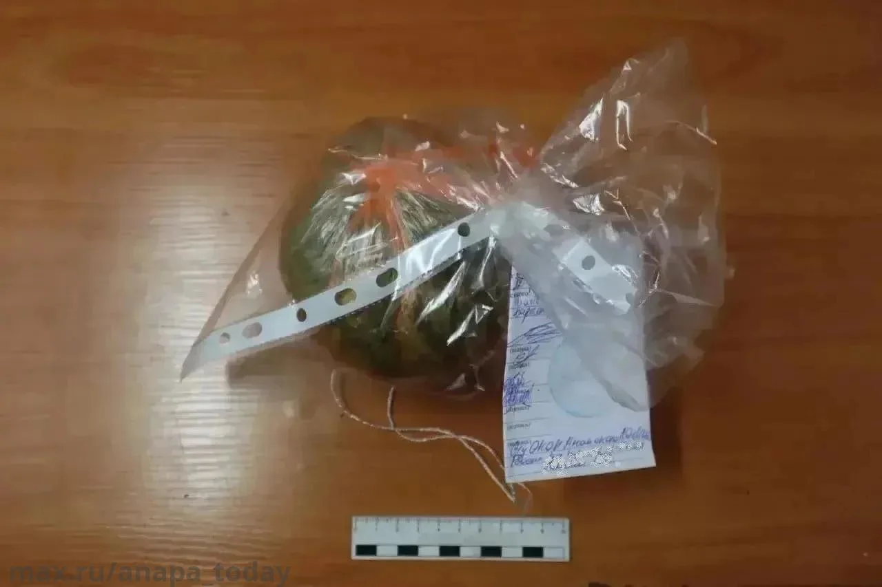 😱Анапчанина с крупной партией наркотиков задержали полицейские.