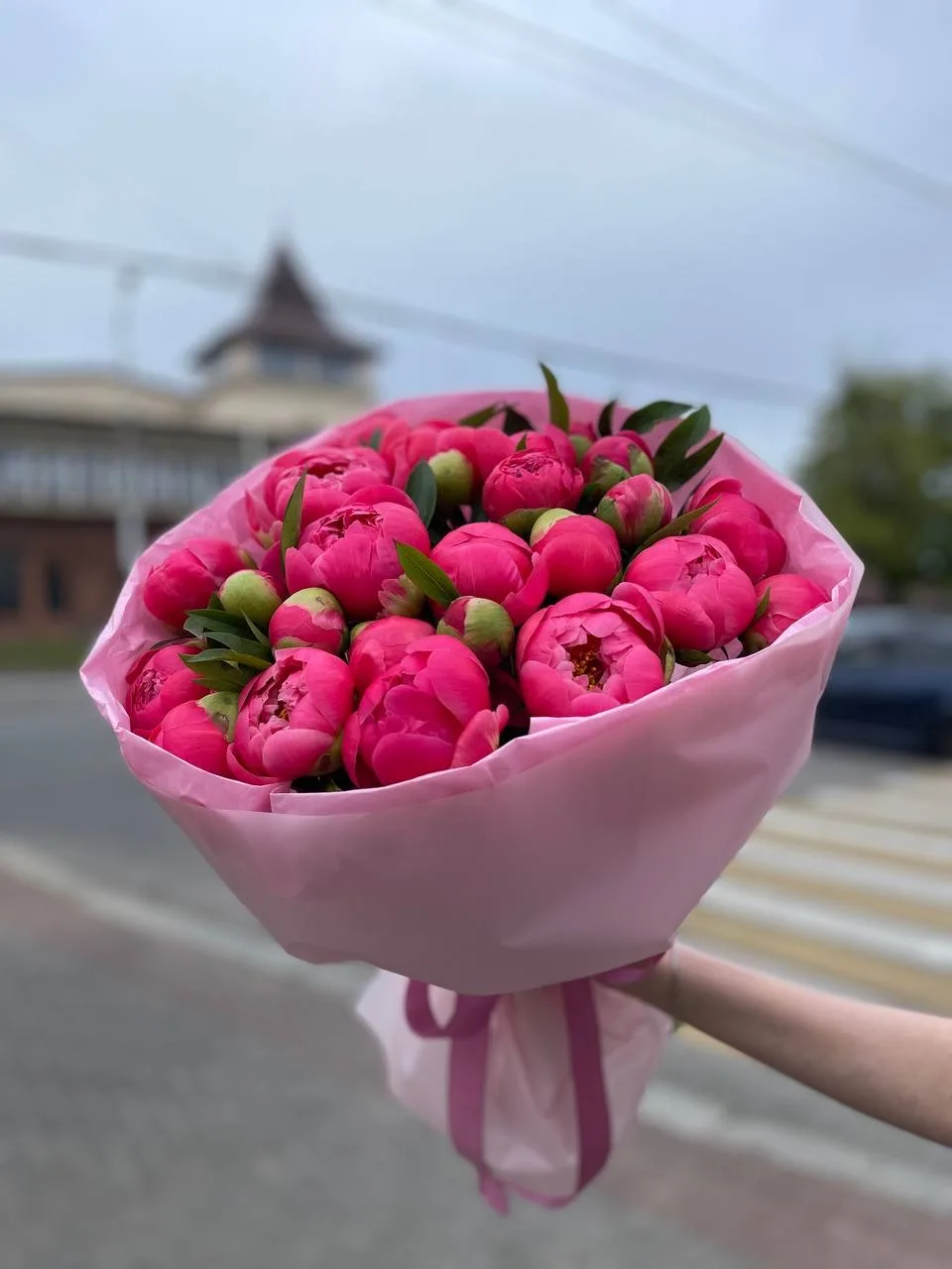 Пионы коралловые 🎀