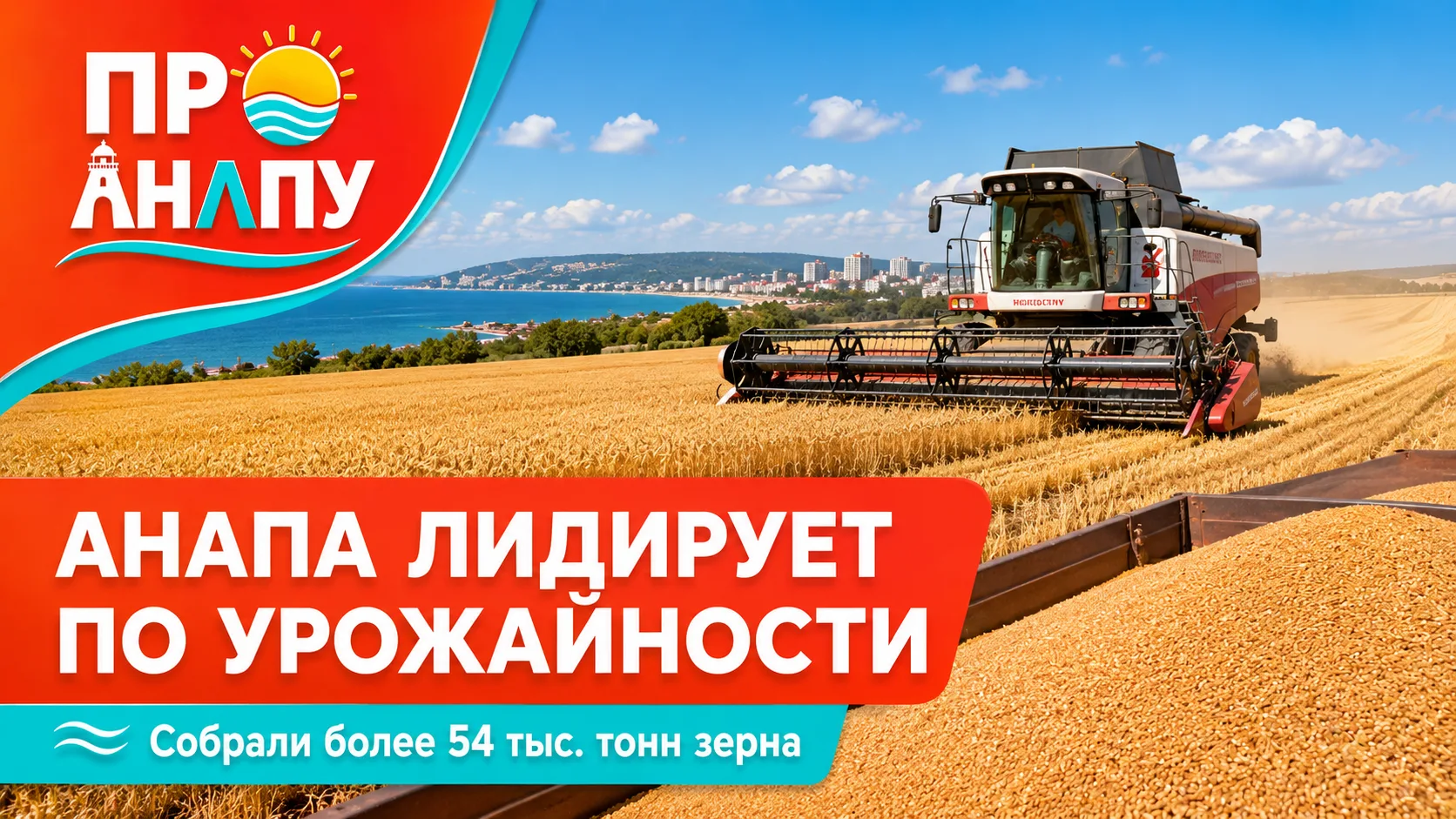 Анапа стала лидером по урожайности зерновых в Анапа-Таманской зоне