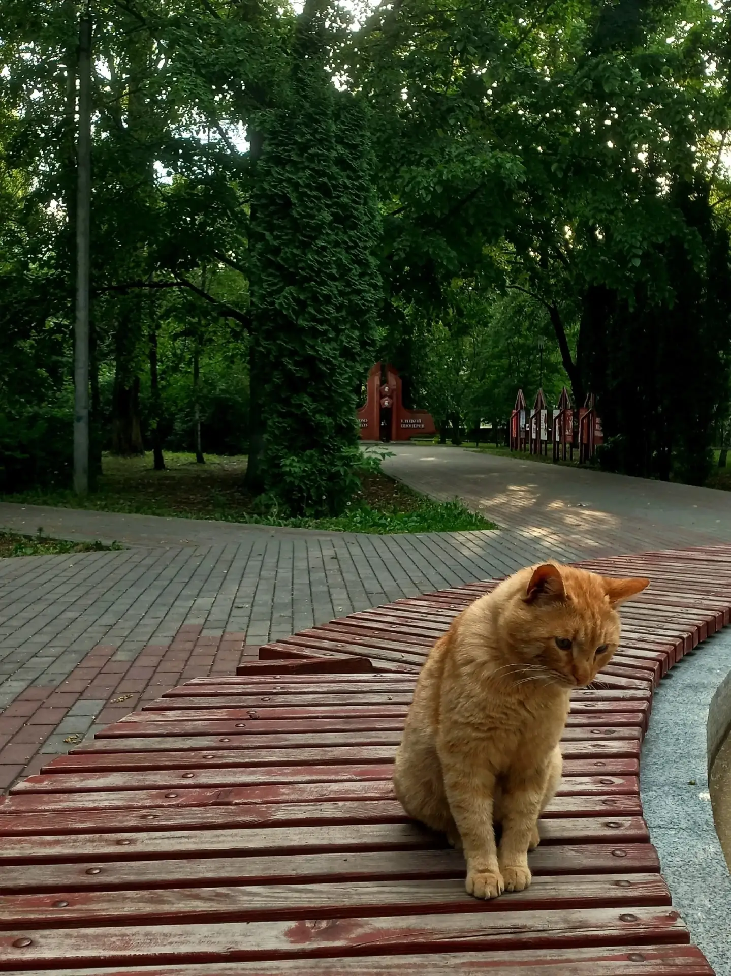 Как быстро пролетели 2 недели лета...

Мой Елец. Подписаться