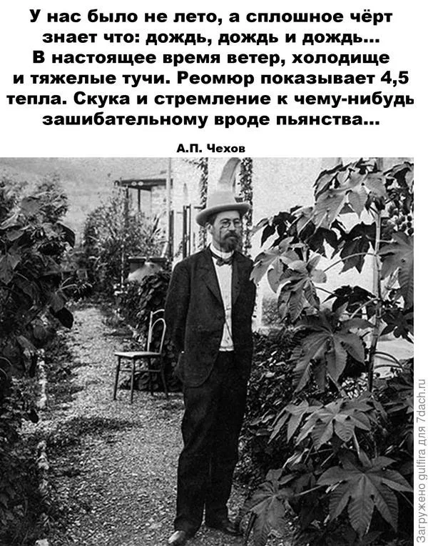 Что-то вспомнился прям классик наш🤨😆