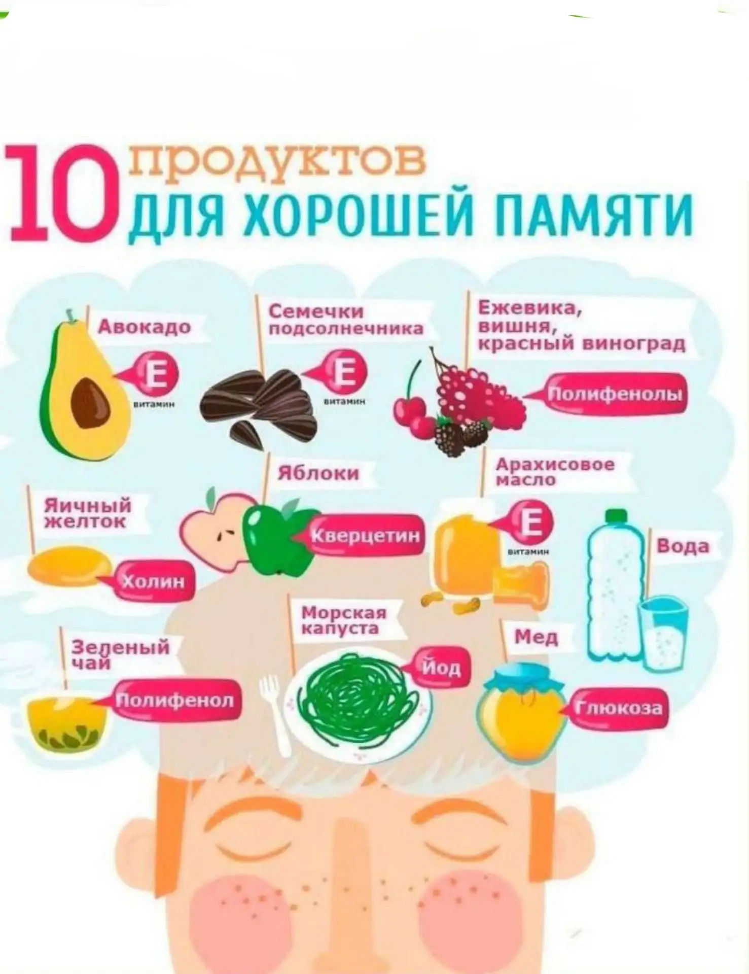 10 продуктов для хорошей памяти