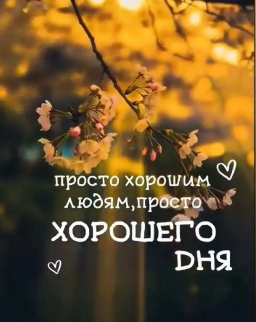 Доброе утро | Подпишись👇🏻
