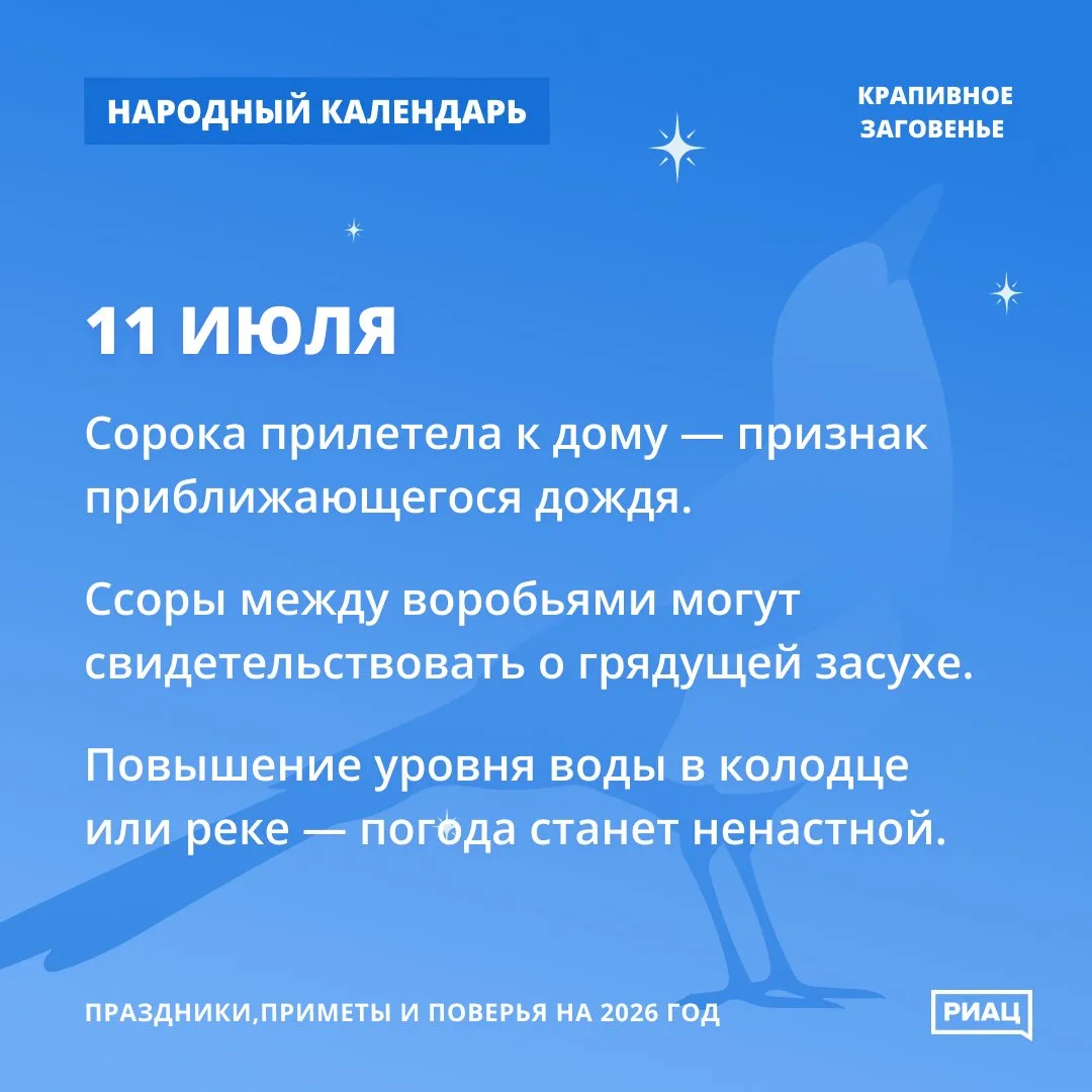 🐦 Воробьи ссорятся - к грядущей засухе.