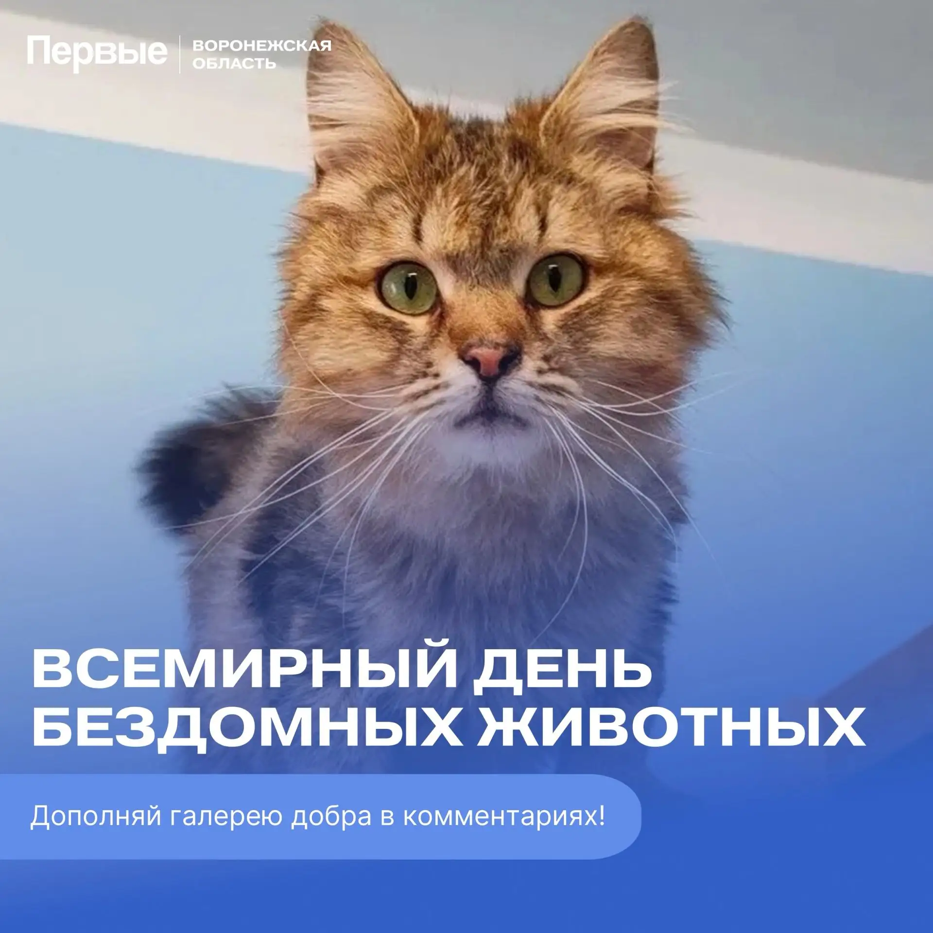 Добро нельзя не заметить