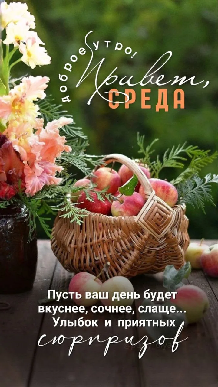 https://max.ru/invista123456