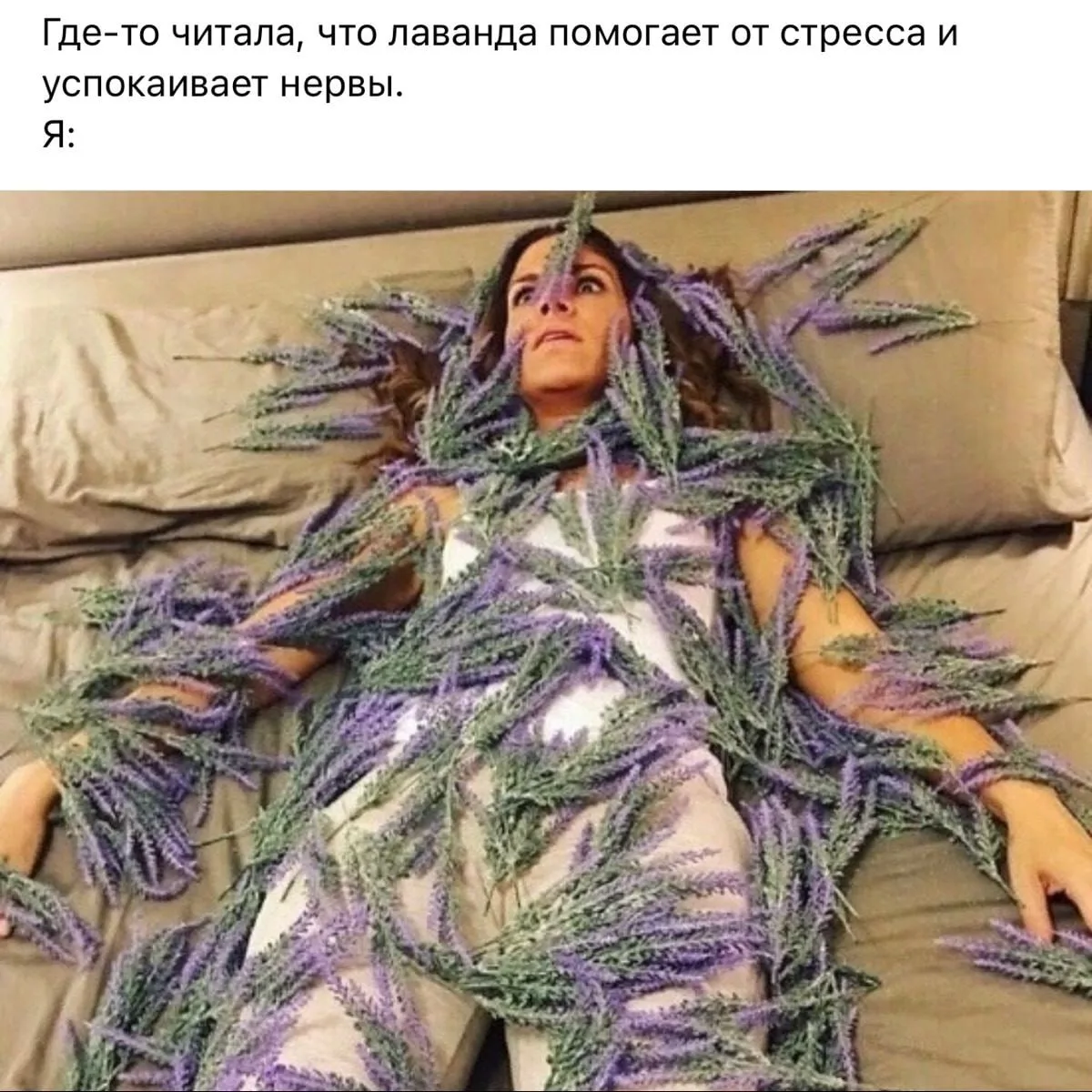 Представляете, люди до 20 века не были в стрессе. У этого слова был в основном физическ...