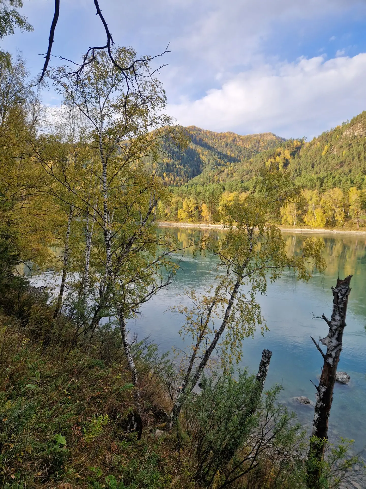 Самое доброе утро для меня 💙