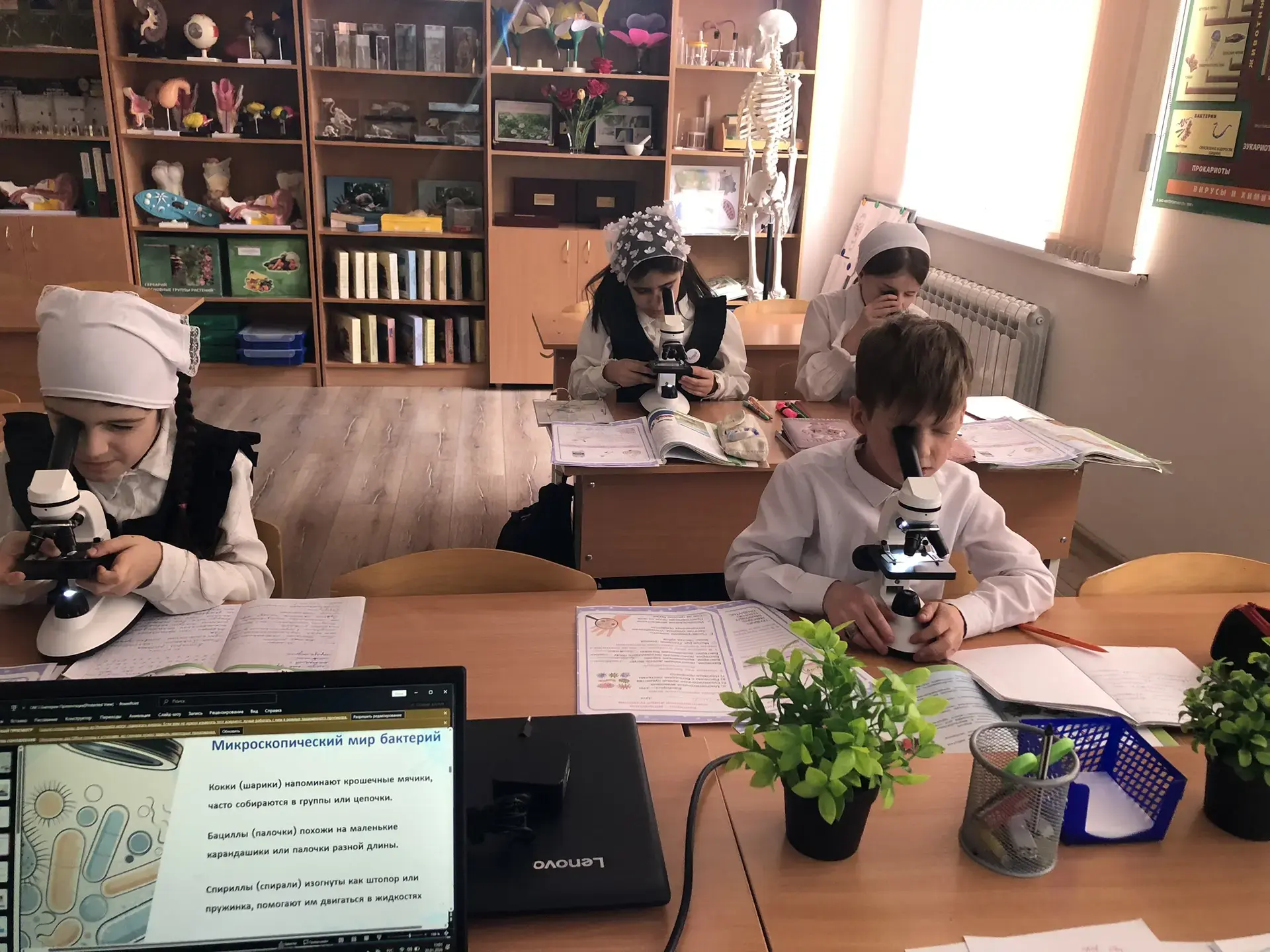 🦠 БАКТЕРИИ НЕ СПРЯЧУТСЯ! ЮНЫЕ БИОЛОГИ БЕНОЙСКОЙ СОШ БЕРУТ СЛЕД