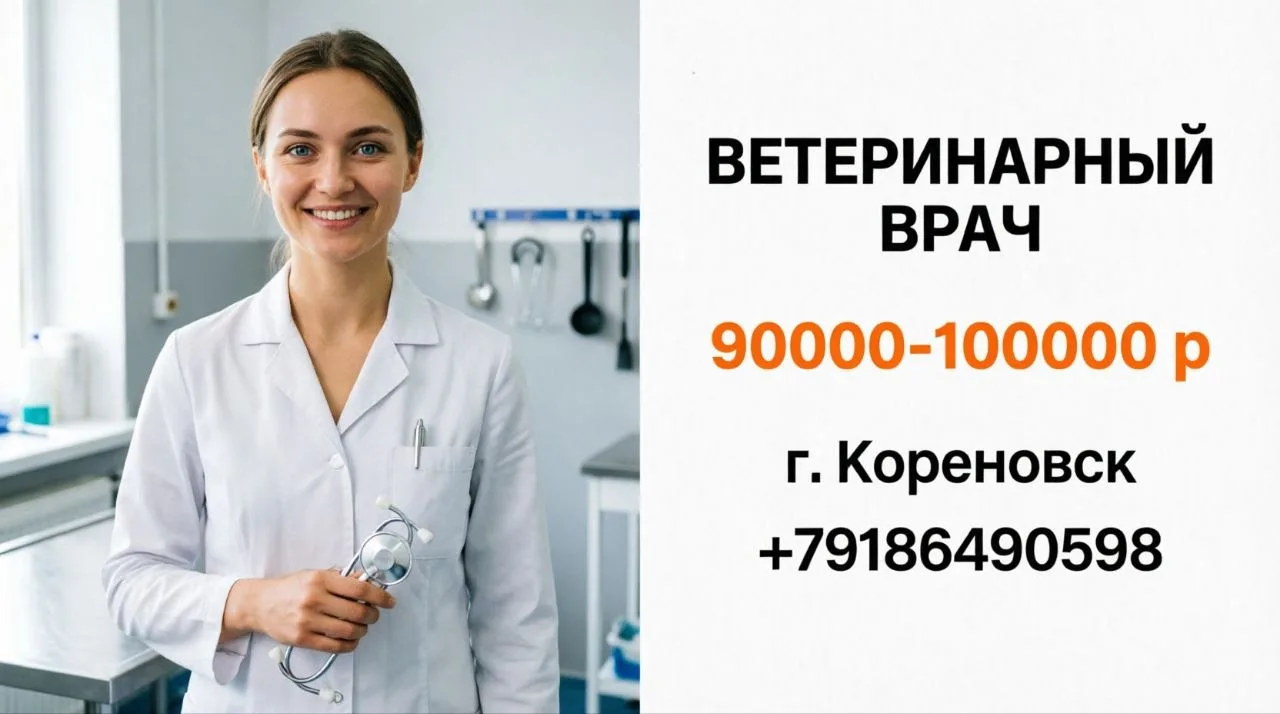 ВЕТЕРИНАРНЫЙ ВРАЧ | 90000-100000 р