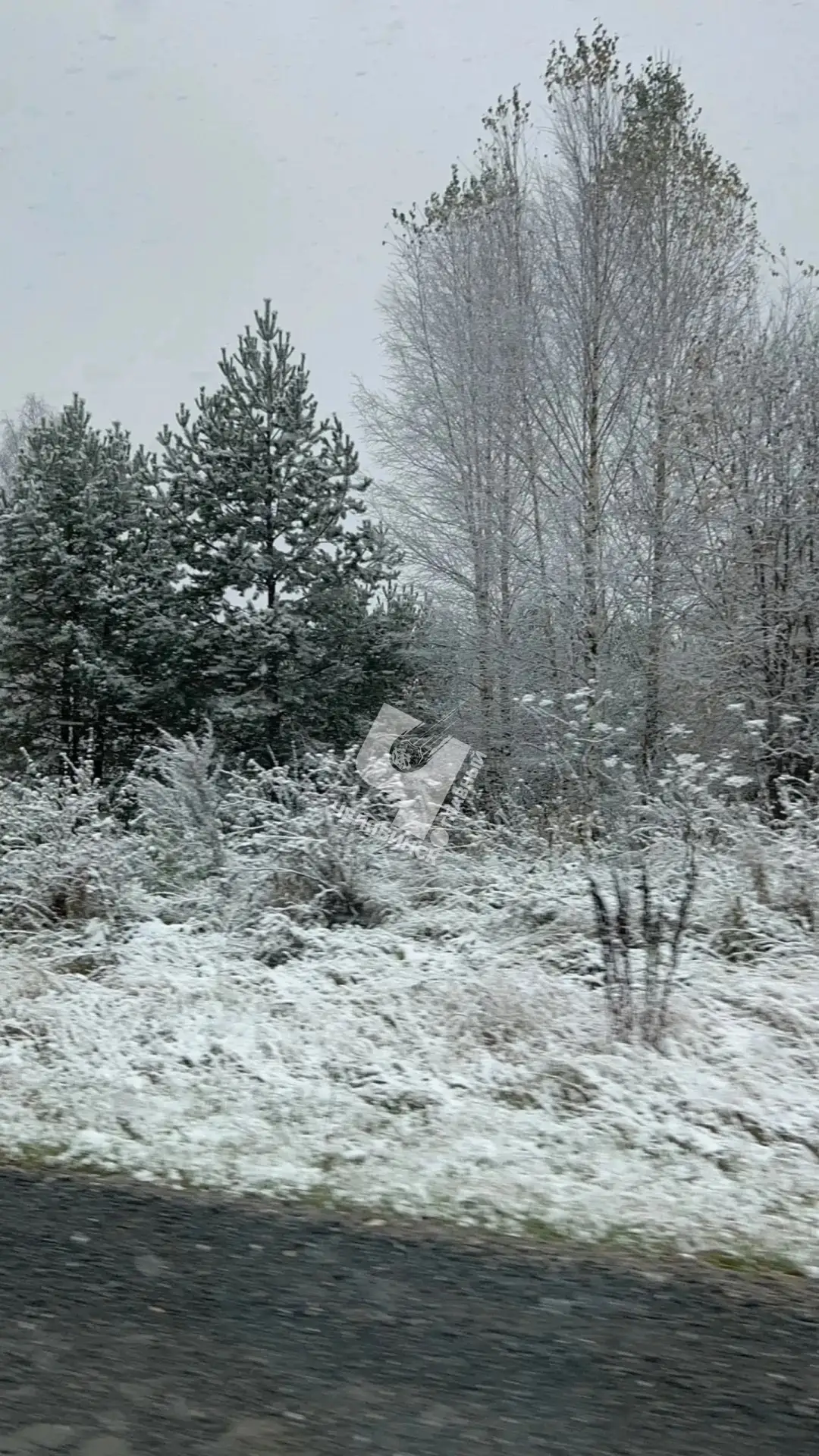 ❄️ Водителям пора менять летнюю резину на зимнюю