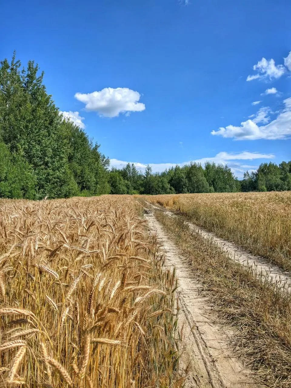 По дороге с облаками... 🌤