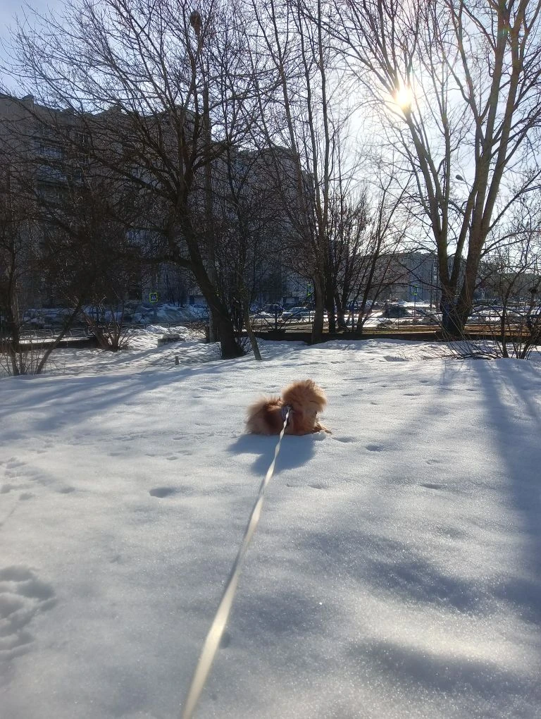 " Пока ещё белеет снег,