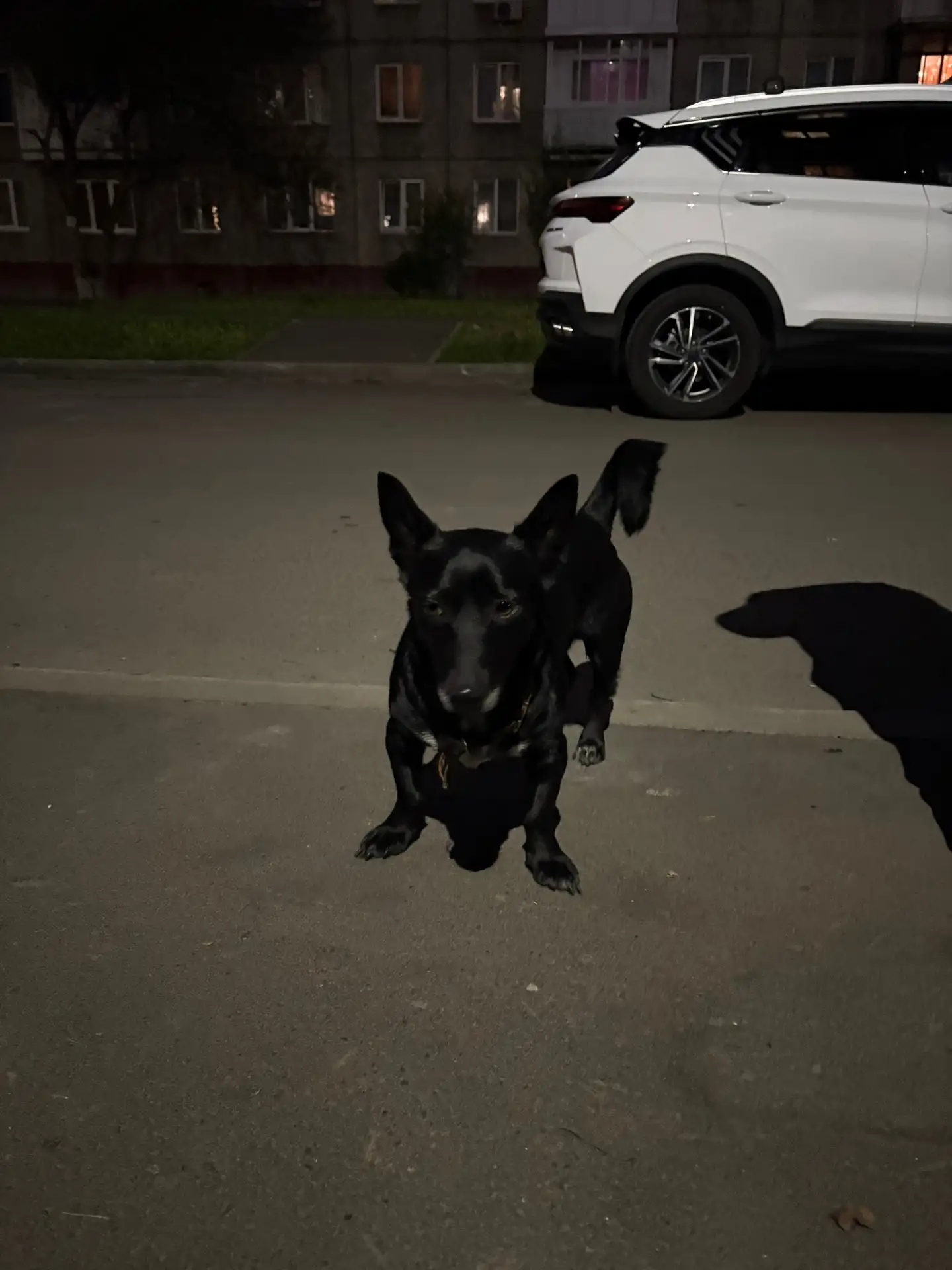 Добрый вечер !