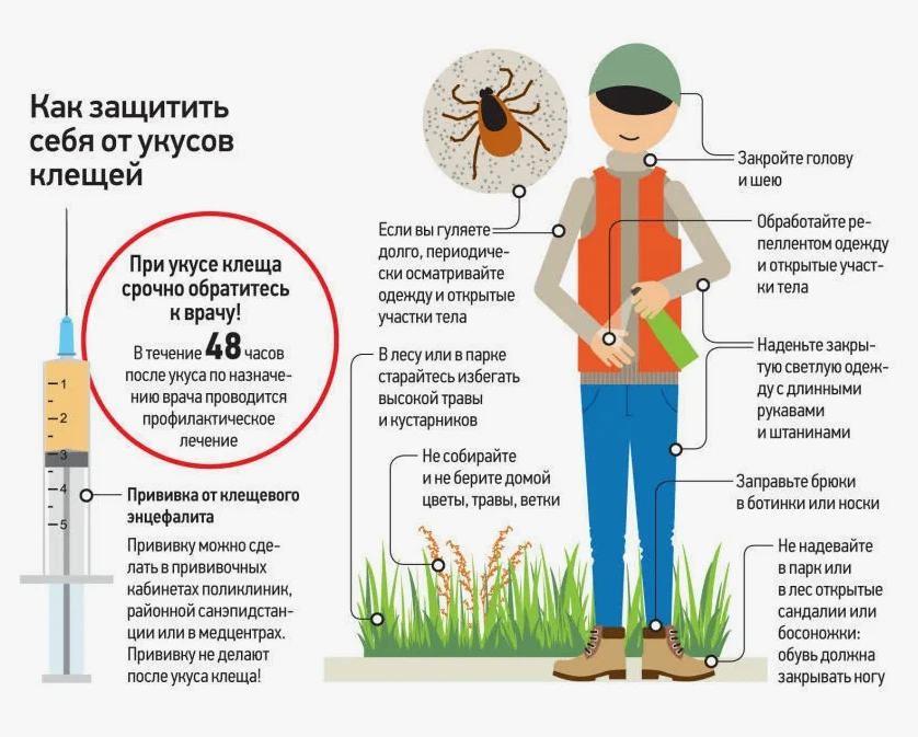 ☀️ Лето должно быть безопасным: защитите себя от клещевого энцефалита!