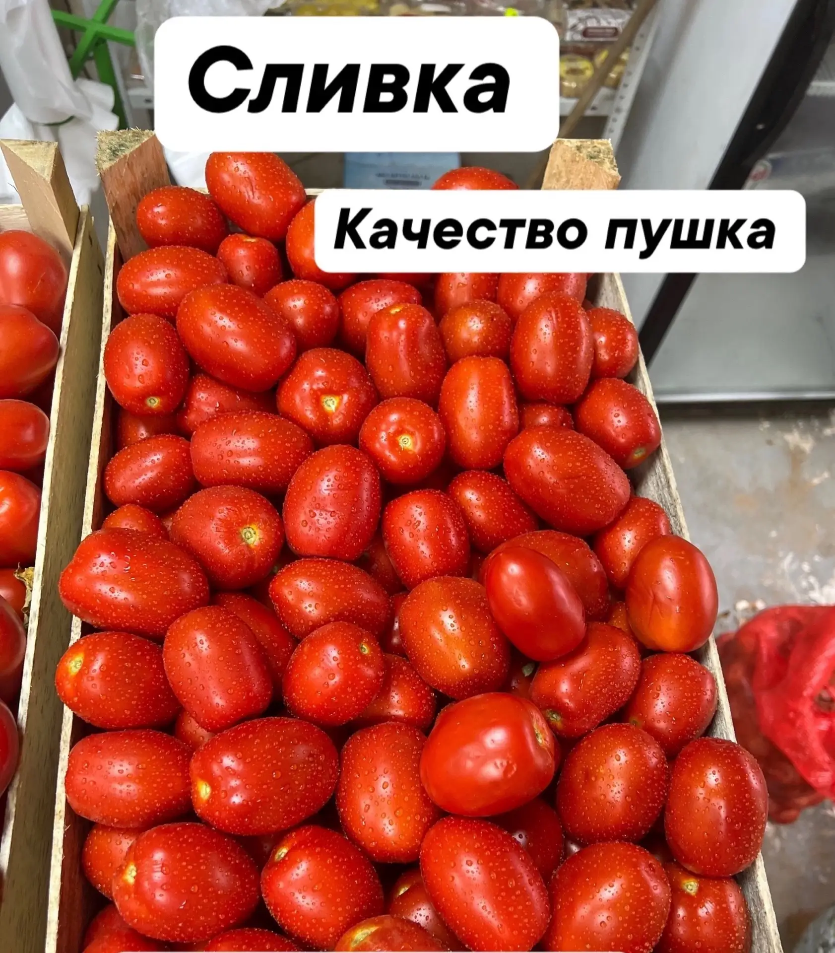 РОЗЫГРЫШ ЖМИ !!!
