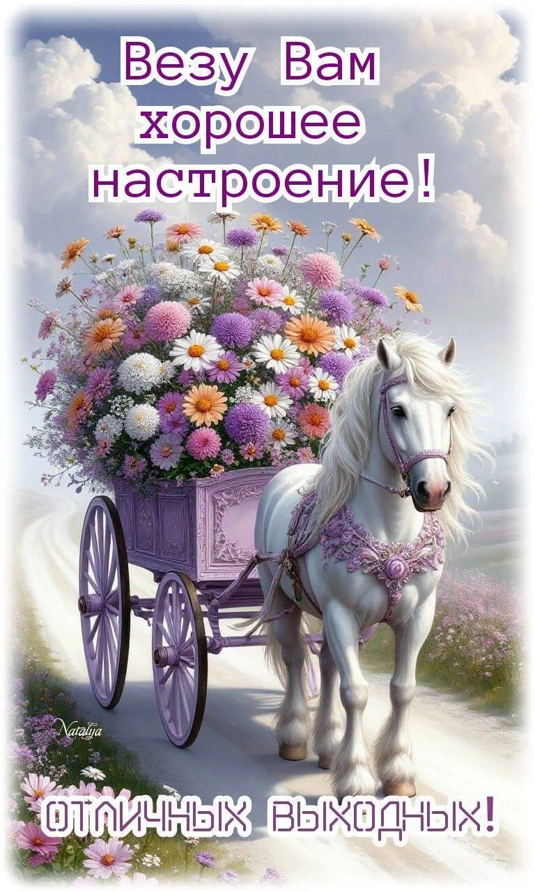 ОТКРЫТКИ