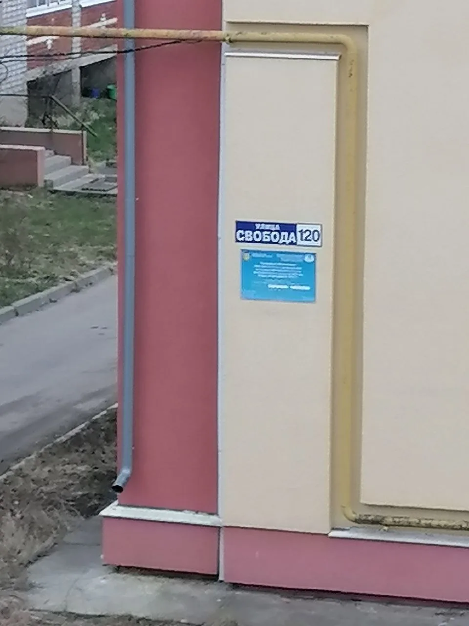 От читателя:  Кому то клен помешал....