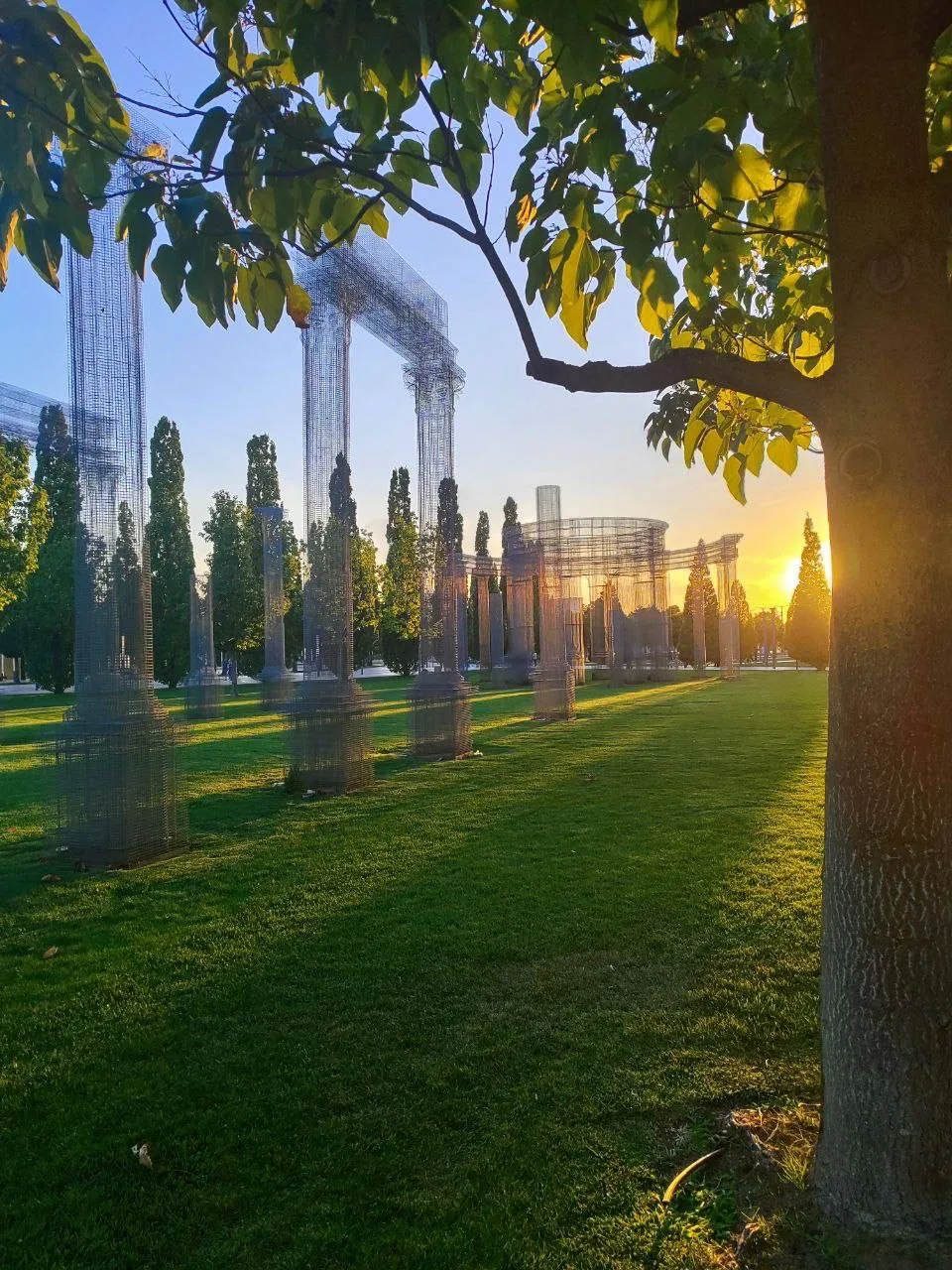 Посмотрите как закат пробивается через Абстракту 🌅