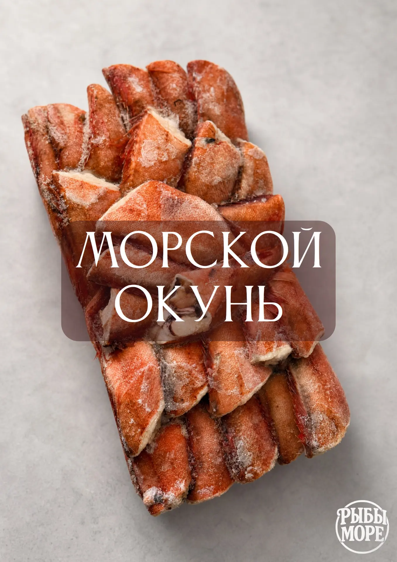 🐟 МОРСКОЙ ОКУНЬ 🐟