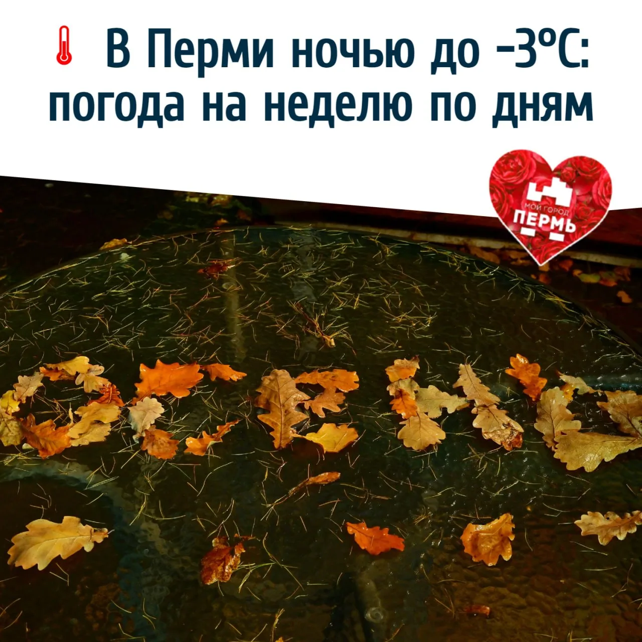 🌡 В Перми ночью до -3°С: погода на неделю по дням