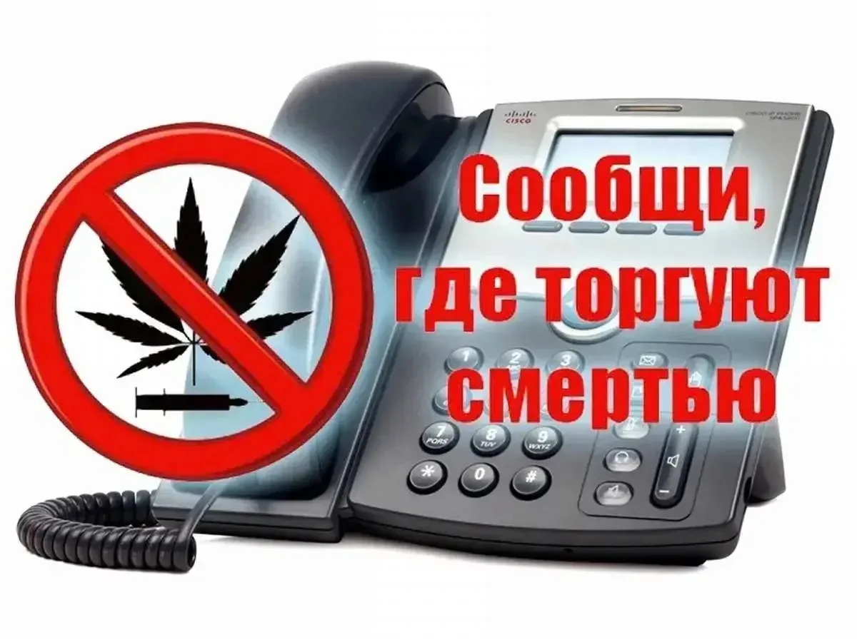В целях информирования широких слоев населения, в том числе молодежи, родительской общественности, о