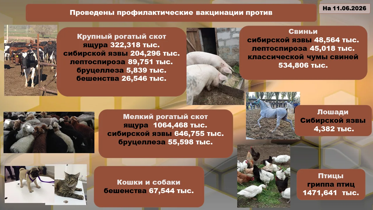 Государственная ветеринарная служба Ставропольского края проводит плановые весенние ветеринарные про