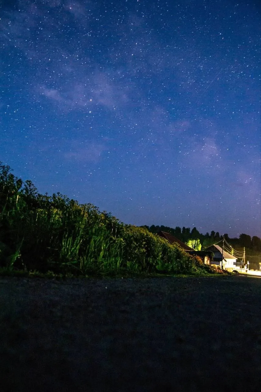 Невероятное звездное небо распахнулось над Кузбассом 💫