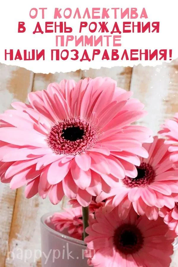 🎉🥳💐🎁РУБРИКА ПОЗДРАВЛЕНИЙ                                                        Дор...