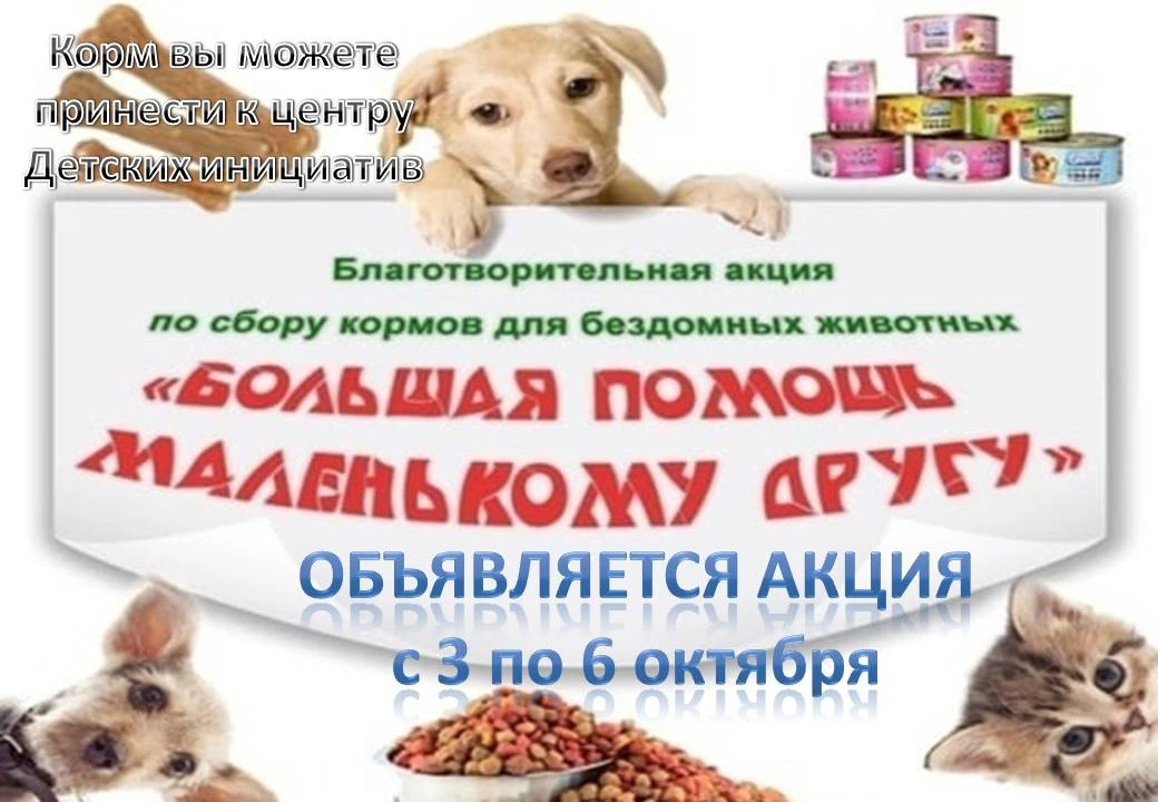 Тепло, которое можно переслать. Поможем хвостикам вместе! 🐾