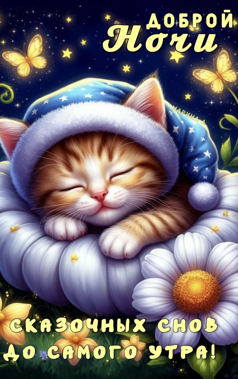 Доброй ночи 💤
