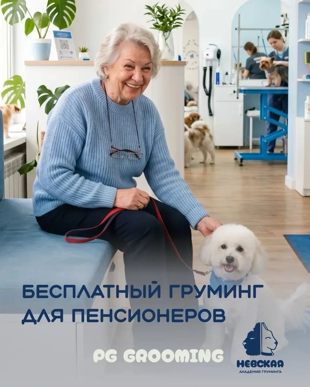 🐾 БЕСПЛАТНЫЙ ГРУМИНГ ДЛЯ ПЕНСИОНЕРОВ 🐾