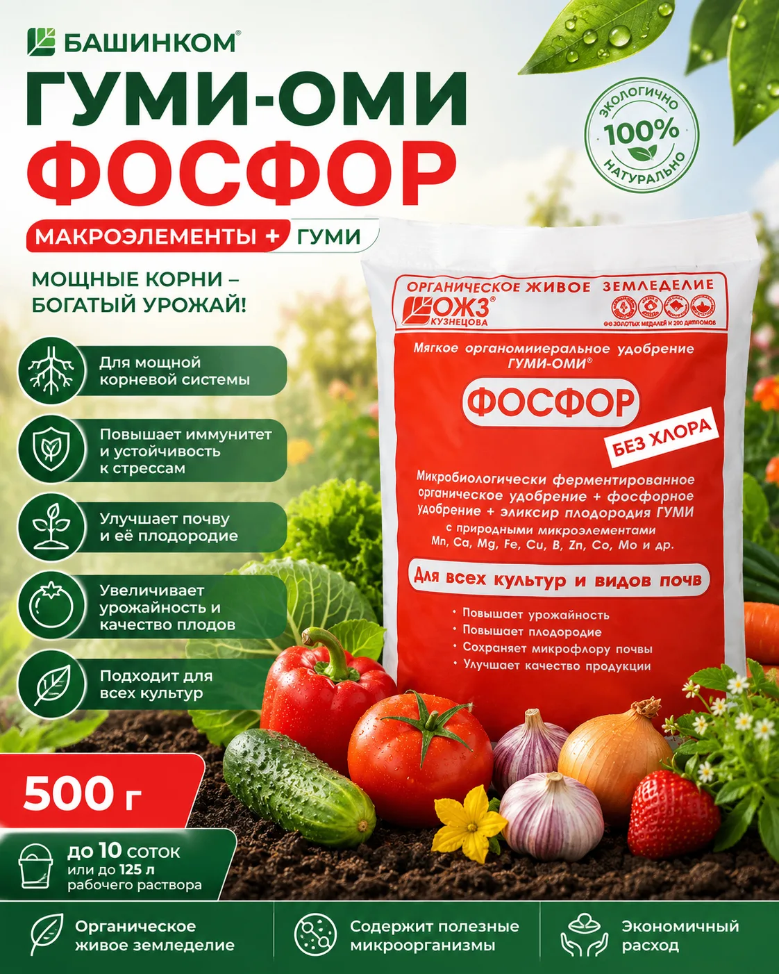Сильные корни — основа богатого урожая!