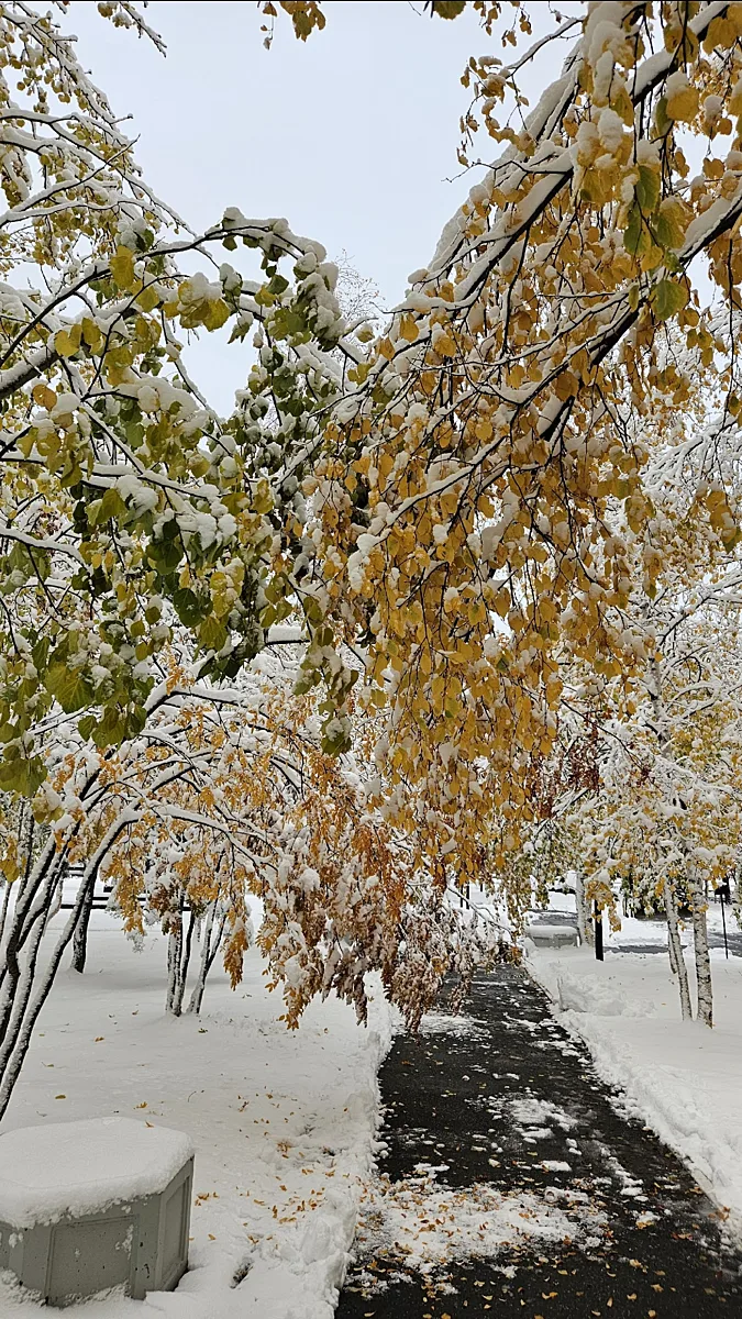 Утепляемся, когалымчане❤️
