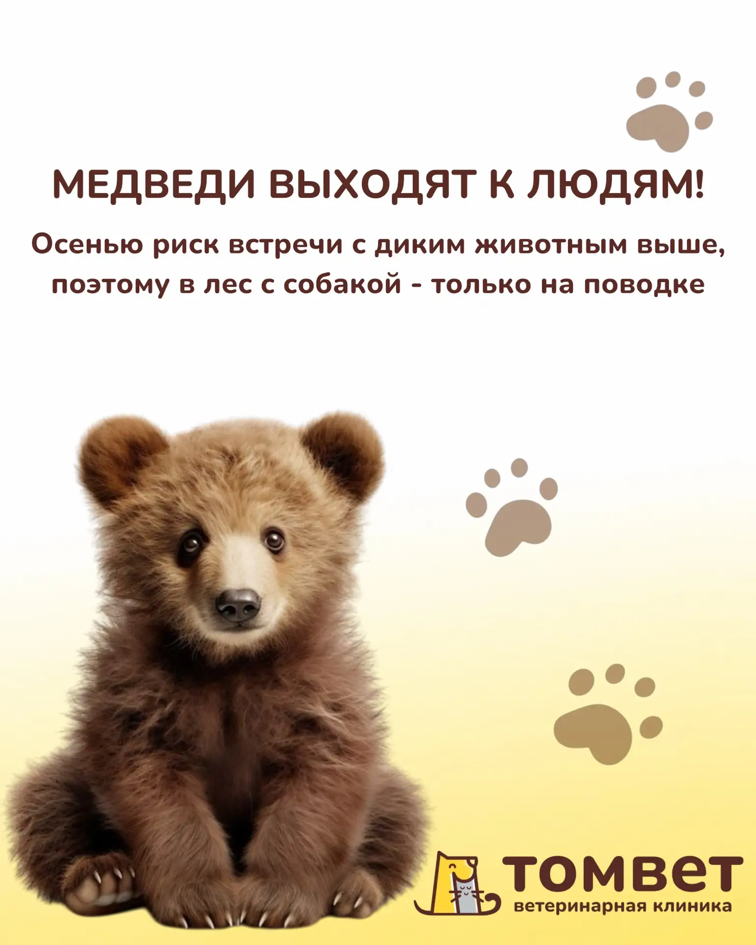 Осенью медведи особенно активно ищут пищу, чтобы подготовиться к зиме, поэтому могут вы...
