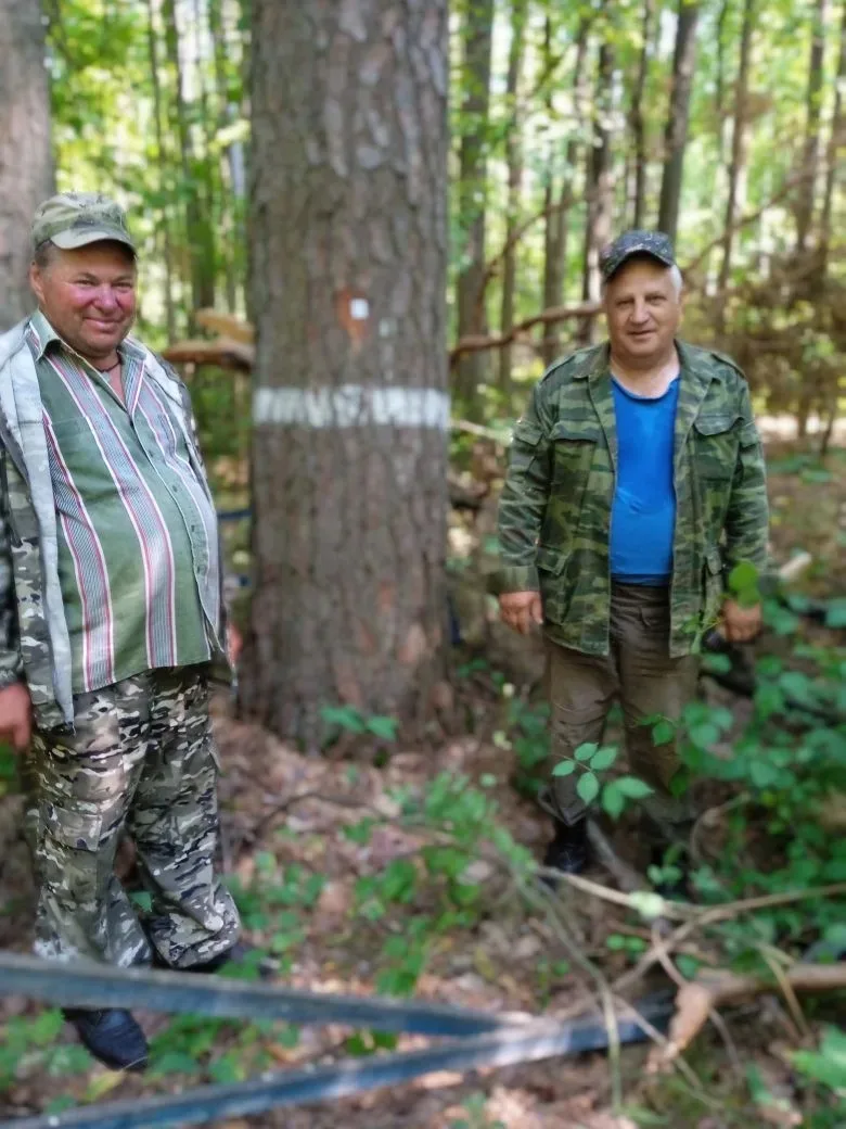 Сотрудники Пурдошанского участкового лесничества проводят обследование постоянных лесосеменных участ