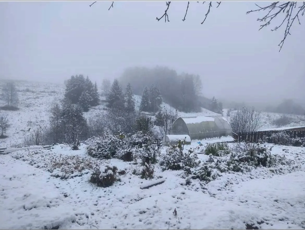 ❄️ Кадры первого снега