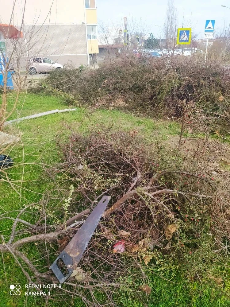 Уважаемые жители! По адресу: шоссе Супсехское ✅📸Информируем вас о проведении  мероприятий по благоус