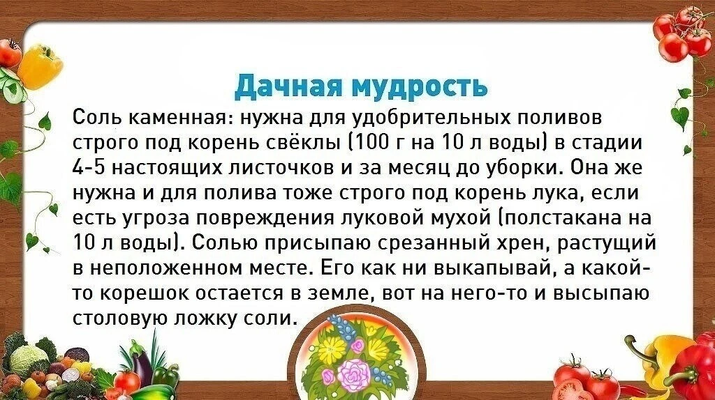 #ОвощеводствоПарники
