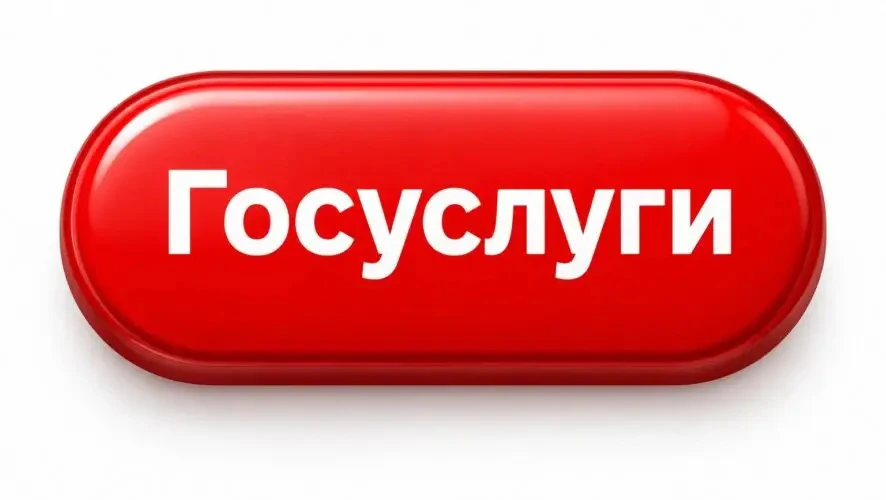 На «Госуслугах» в этом году появится «красная кнопка» для блокировки мошенников