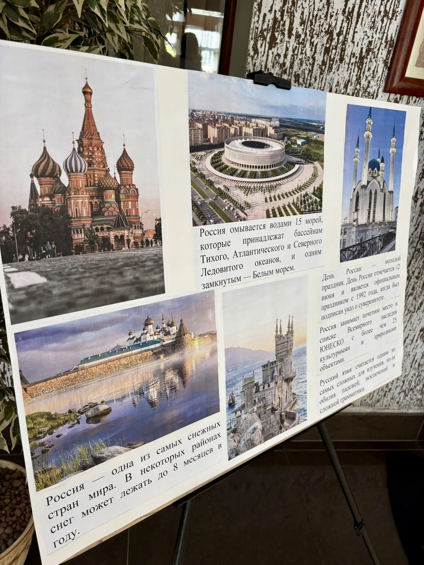🇷🇺 День России в Краснодарском филиале РЭУ им. Г.В. Плеханова!🎉

12 июня наша страна отмечает важ