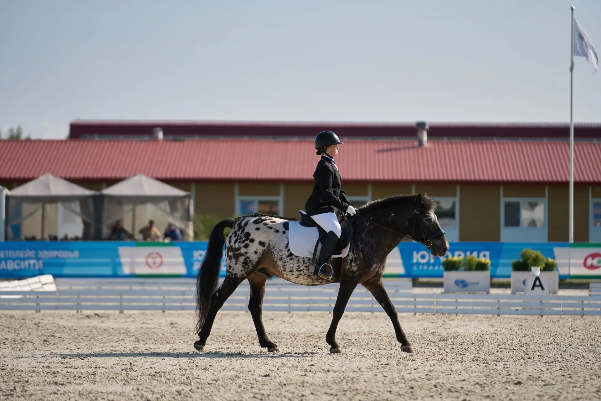 ☝️Почему детям стоит заниматься в «Мустанге»           
 
 
🏇🏻Конный спорт — не только интересный,