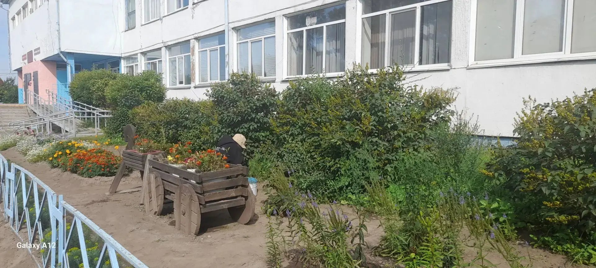 Добрый день, наши болельщики! ☀️